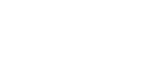 Search Spotlight Solutions